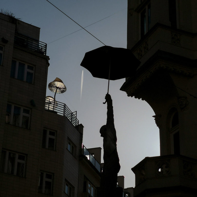 Mosaic House, Michal Trpák | © Milovan Milenković, Praguements