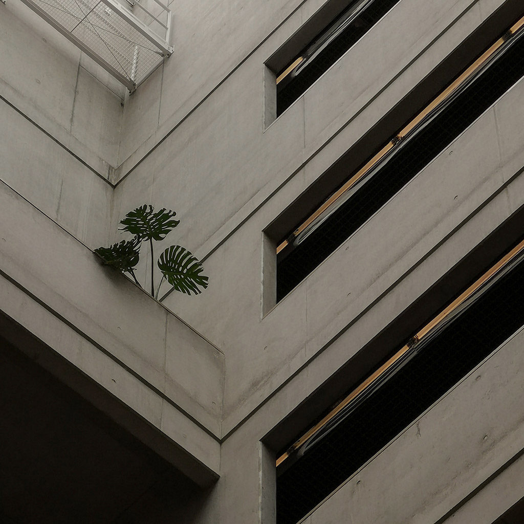 Faculty of Architecture, Czech Technical University in Prague | © Milovan Milenković, Praguements