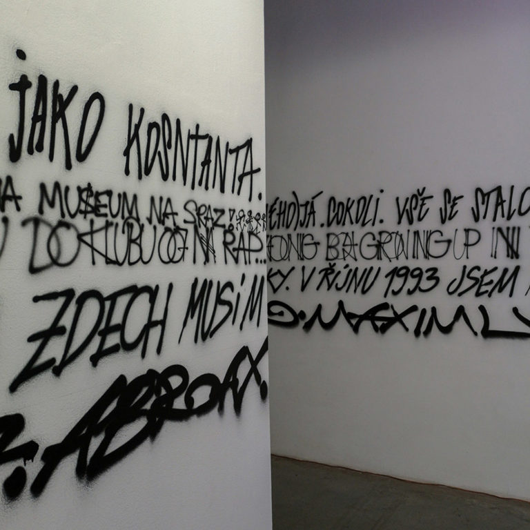 DSC Gallery | © Milovan Milenković, Praguements